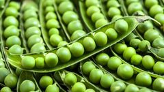 Green peas