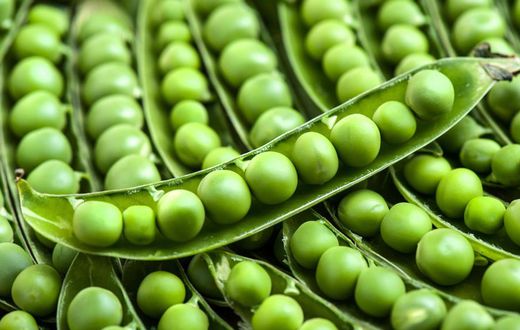 Green peas