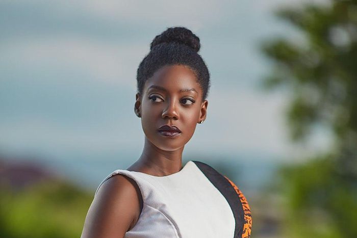 ___6744701___https:______static.pulse.com.gh___webservice___escenic___binary___6744701___2017___5___27___16___file6v44ngxju7p4xp2d1kk