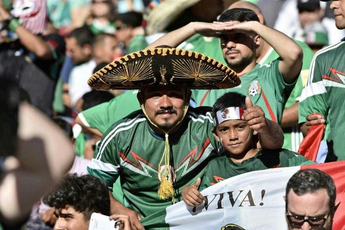 Fans of Mexico on June 18, 2016