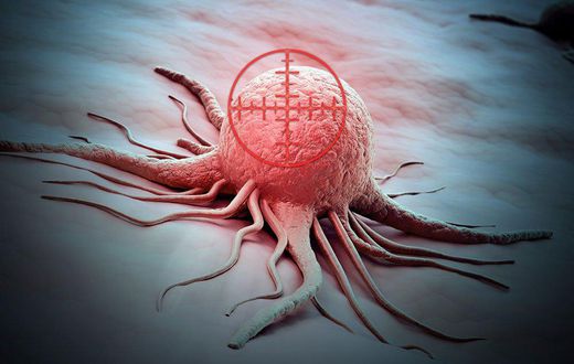 Cancer cell