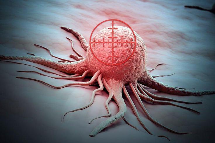 Cancer cell