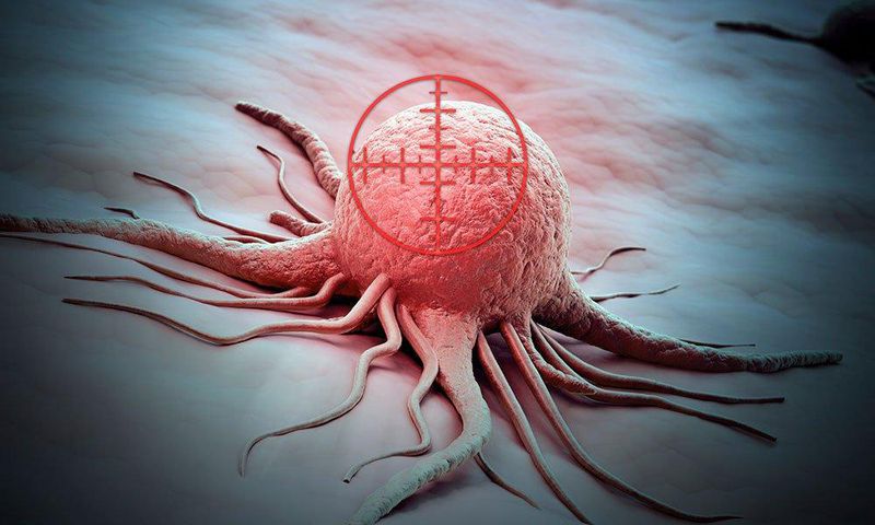 Cancer cell