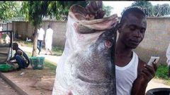 Fish ‘taller’ than man sparks social media frenzy