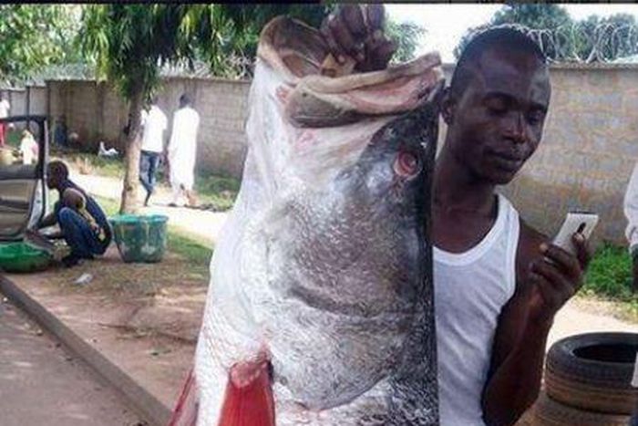 Fish ‘taller’ than man sparks social media frenzy