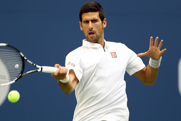 ___5451271___https:______static.pulse.com.gh___webservice___escenic___binary___5451271___2016___9___3___13___novakdjokovic-cropped_4kfqq7putd0t1pm8ircawuzlz