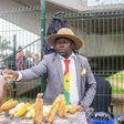 Meet the most stylish roasted corn seller in Ghana