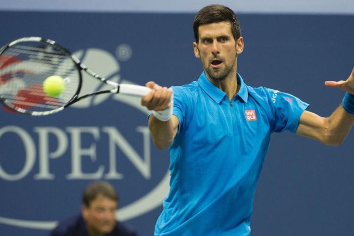 ___5433892___https:______static.pulse.com.gh___webservice___escenic___binary___5433892___2016___8___30___11___novakdjokovic-cropped_aqwltiyuvwcx1uvwtnceqkhfp