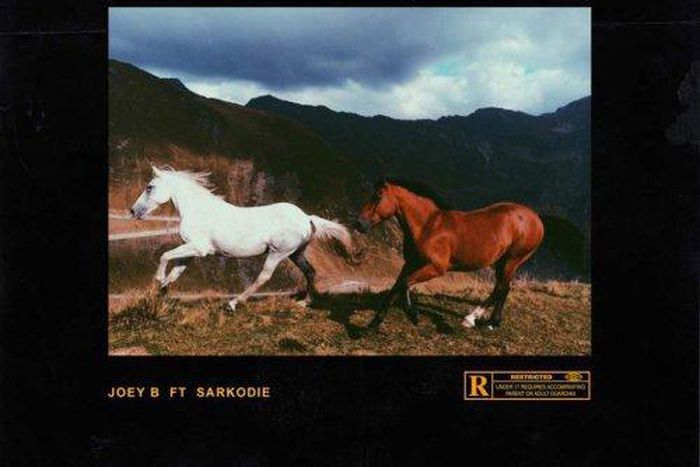 Joey B - Sunshine (Remix) feat. Sarkodie (Prod. by Nova)