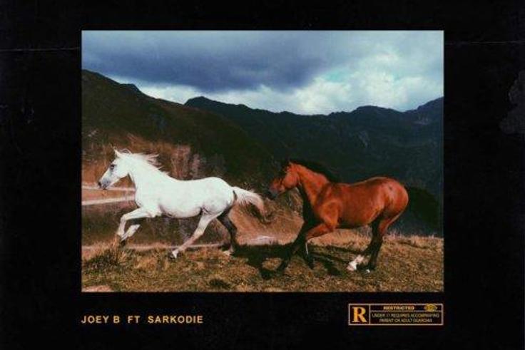 Joey B - Sunshine (Remix) feat. Sarkodie (Prod. by Nova)