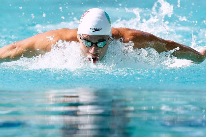 ___5346387___https:______static.pulse.com.gh___webservice___escenic___binary___5346387___2016___8___5___20___thiagopereiracropped_wf11d1fvrv181jjlhdtvsl5mz