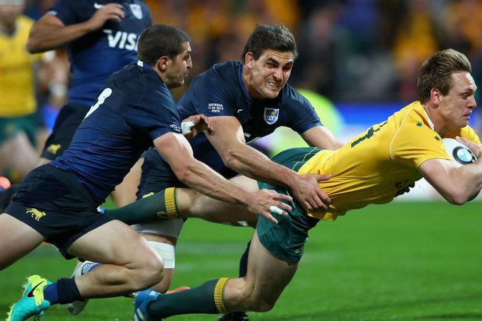 ___5501958___https:______static.pulse.com.gh___webservice___escenic___binary___5501958___2016___9___17___18___danehaylettpetty-cropped_1pbunumqyqe3t1f95djp2hsh77