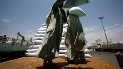 Dockers unload a US aid shipment at Port Sudan on the Red Sea coast, on May 5, 2016 