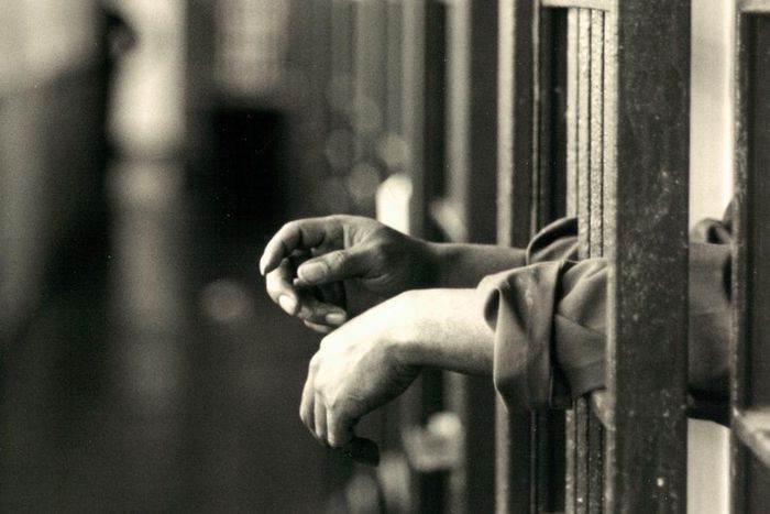 Prison bars