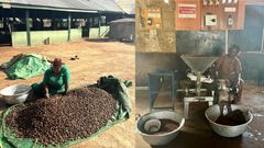 Hard work for smooth kin: The process behind Ghana's shea butter