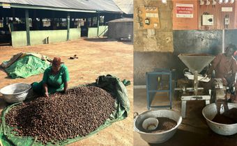Hard work for smooth kin: The process behind Ghana's shea butter