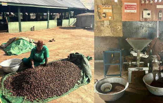 Hard work for smooth kin: The process behind Ghana's shea butter