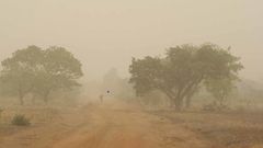 Harmattan