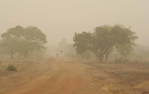 Harmattan