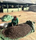 A woman sorting the kernels. (Picture: Zoe Geissler)