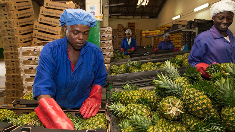 10 strategic steps to reduce the impact of Trump’s harsh 10% tariff on Ghana