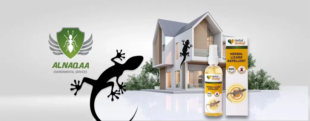 10 ways to prevent wall geckos in your home