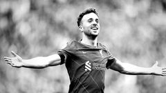 Liverpool star Diogo Jota