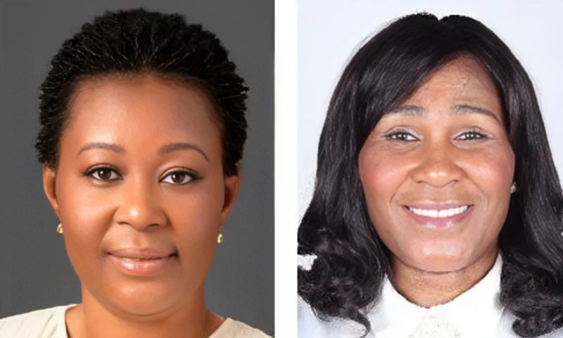 NPP heads to court to block EC’s Ablekuma North rerun in 19 polling stations