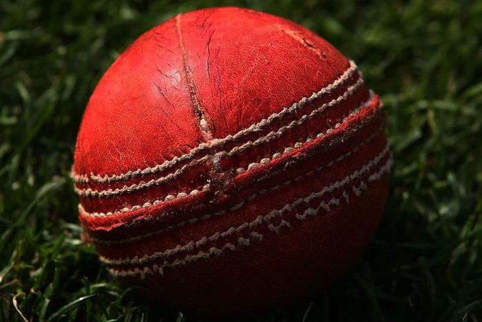 ___4524679___https:______static.pulse.com.gh___webservice___escenic___binary___4524679___2016___1___20___13___cricket-cropped_1stfx2pqfg8nx18nfrhy2qf3ie