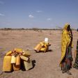 Woman wait to collect water in the drought stricken Somali region in Ethiopia, January 26, 2016. REUTERS/Tiksa Negeri