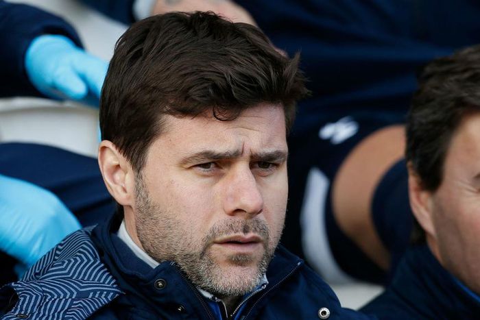 ___4680058___https:______static.pulse.com.gh___webservice___escenic___binary___4680058___2016___2___12___19___mauriciopochettino-cropped_15jlsspcah3fz1ajvr0da52v1e