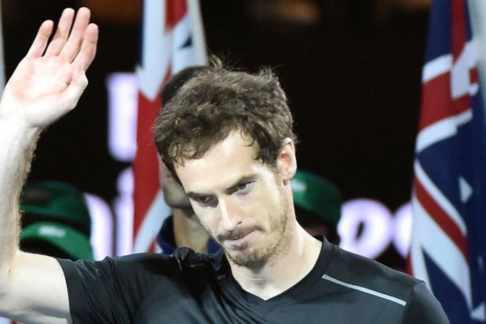 ___4628466___https:______static.pulse.com.gh___webservice___escenic___binary___4628466___2016___1___31___23___andymurray-cropped_1jkt1ao2jn79s1p46l7cg92wjd