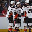 ___4903968___https:______static.pulse.com.gh___webservice___escenic___binary___4903968___2016___4___11___12___anaheimducks-cropped_1kvquy85ydllj129iti6ur9zzw
