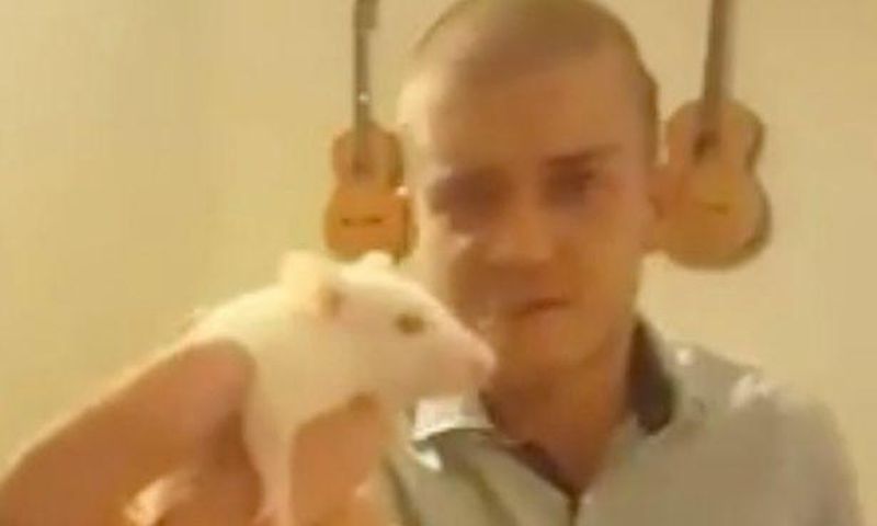 Man arrested for biting the head of a live RAT and posting gruesome video online
