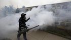 WHO issues $56 million plan to combat Zika virus