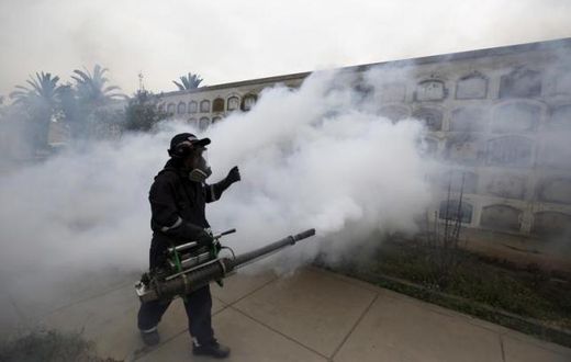 WHO issues $56 million plan to combat Zika virus