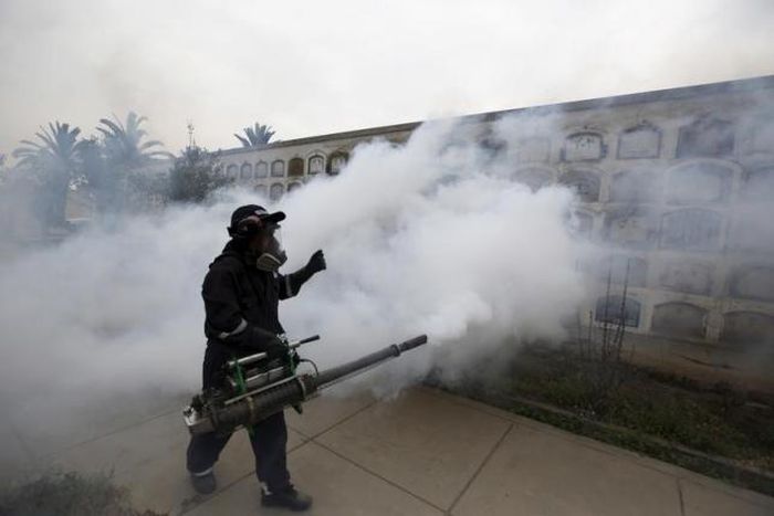 WHO issues $56 million plan to combat Zika virus
