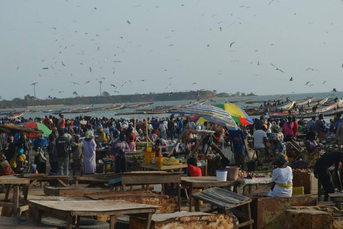 ___4748511___https:______static.pulse.com.gh___webservice___escenic___binary___4748511___2016___3___1___15___fishing1