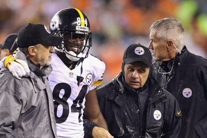 ___4564693___https:______static.pulse.com.gh___webservice___escenic___binary___4564693___2016___1___15___23___antonio-brown-011115-getty-ftr-usjpg_1myeacj71ago41nbek5rwm44dz_2