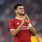 Dominic Solanke found chances limited at Liverpool