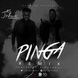 Jaij Hollands - Pinga (remix) feat. Stonebwoy