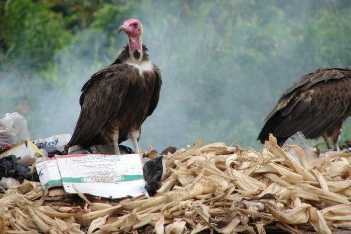 ___4951847___https:______static.pulse.com.gh___webservice___escenic___binary___4951847___2016___4___23___9___199-330