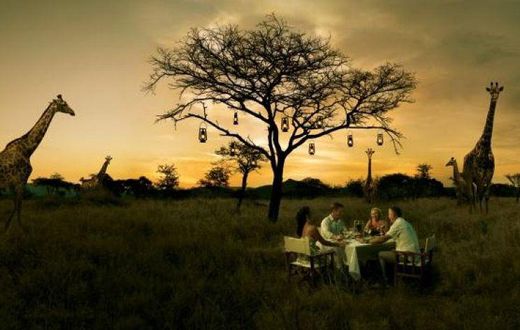 Bush dinner with giraffes as guests
