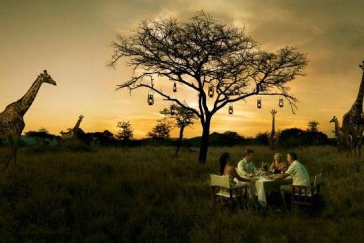 Bush dinner with giraffes as guests