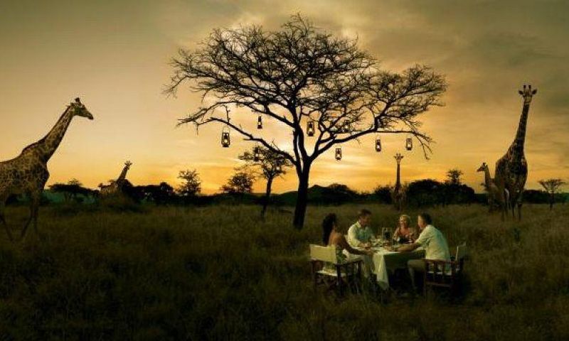Bush dinner with giraffes as guests