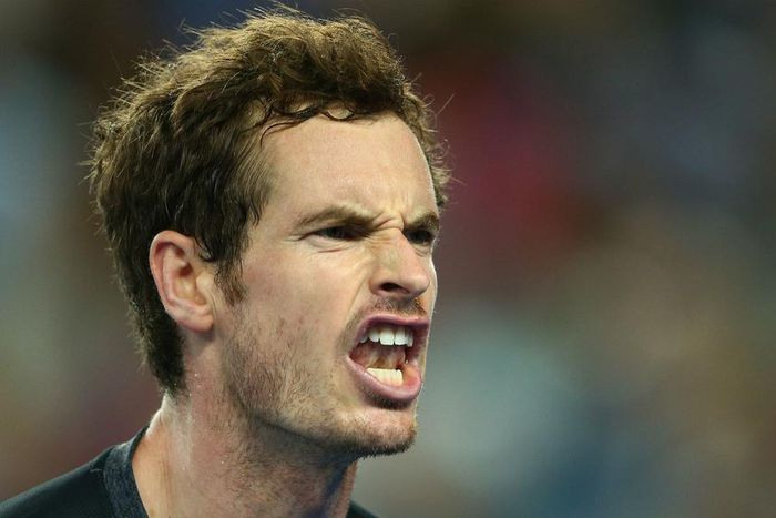 ___4597352___https:______static.pulse.com.gh___webservice___escenic___binary___4597352___2016___1___23___18___andymurraycropped_ch0cc9bew4h41ayhg8ay4syaz