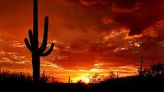 ___4821835___https:______static.pulse.com.gh___webservice___escenic___binary___4821835___2016___3___18___16___Arizona