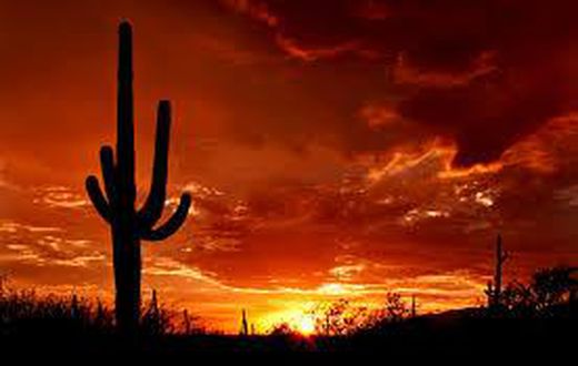 ___4821835___https:______static.pulse.com.gh___webservice___escenic___binary___4821835___2016___3___18___16___Arizona