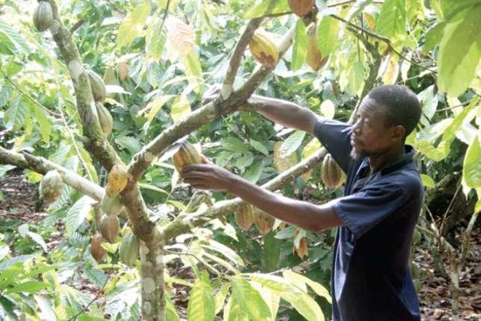 ___4879781___https:______static.pulse.com.gh___webservice___escenic___binary___4879781___2016___4___4___15___df6d1aa2f0cd8ef03592e94e9f914f21-L