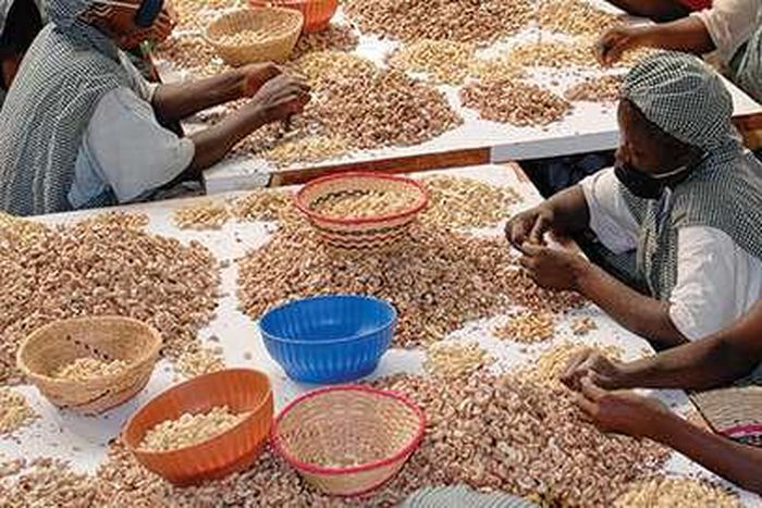 ___4822522___https:______static.pulse.com.gh___webservice___escenic___binary___4822522___2016___3___18___18___AL-CNNXRA